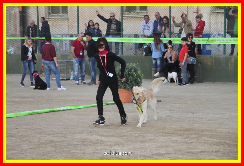 180311 mostra_canina 170.jpg